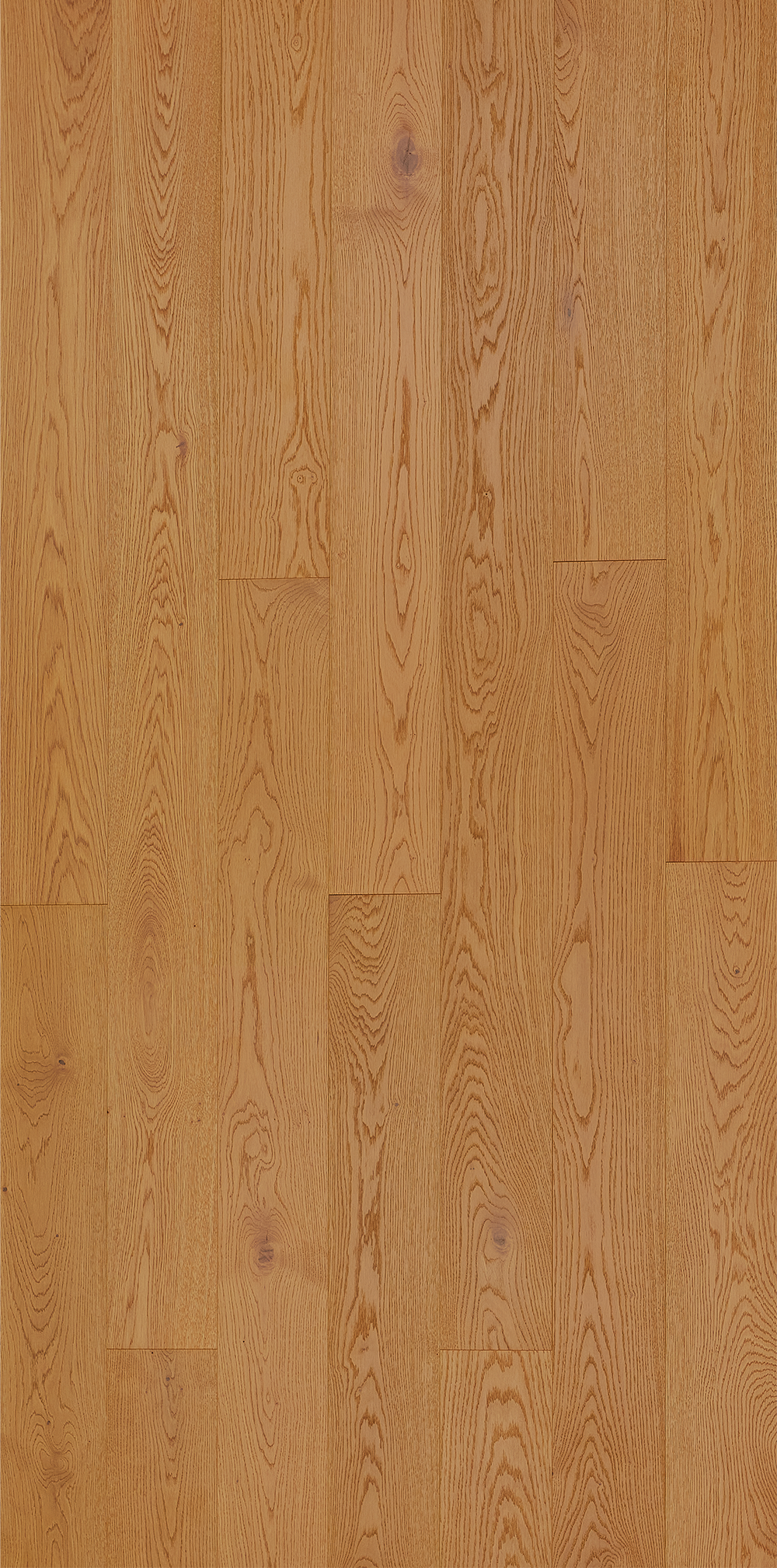 F7-Metal Champagne-Plank
