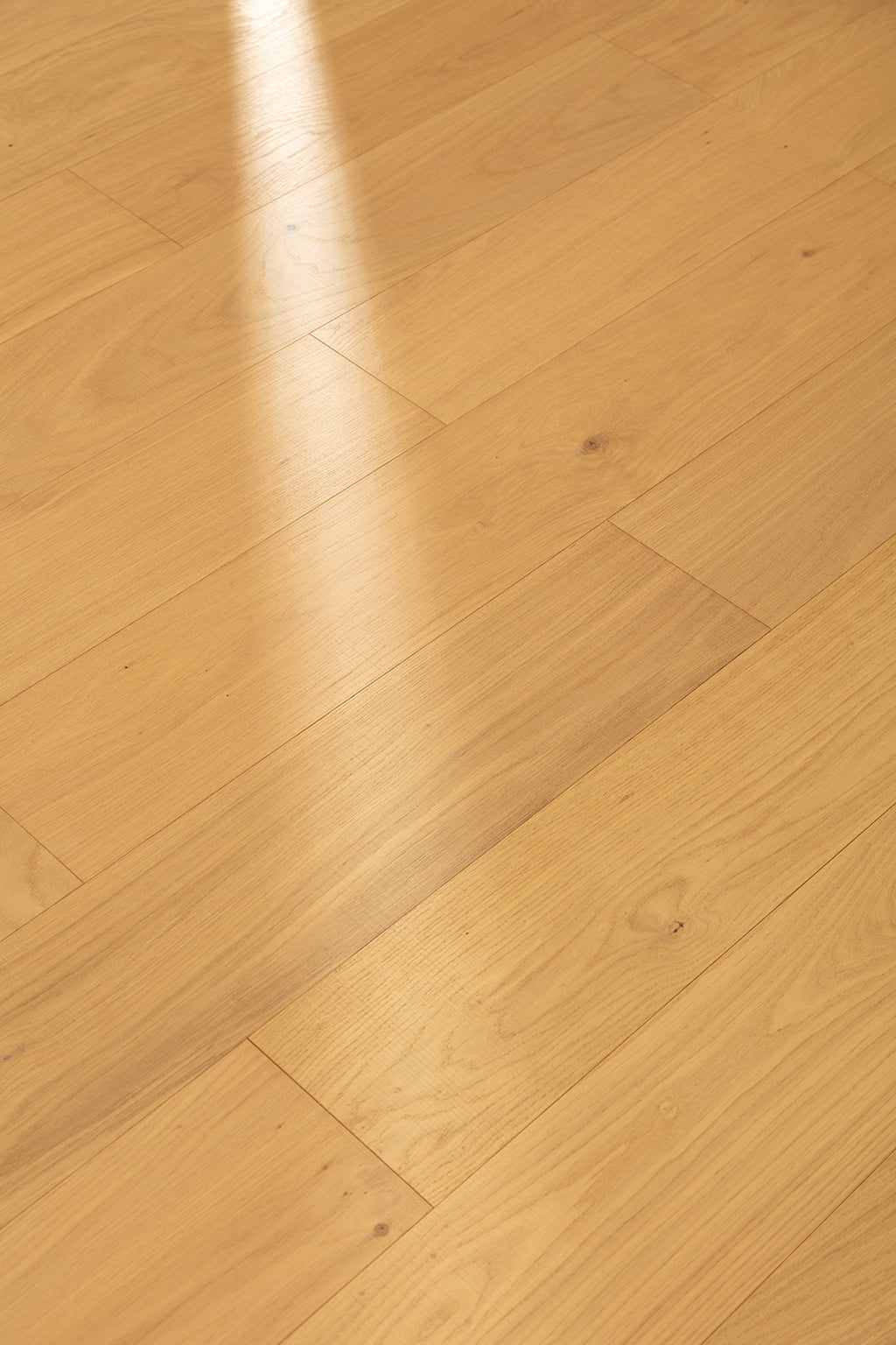 F13-X508-Plank