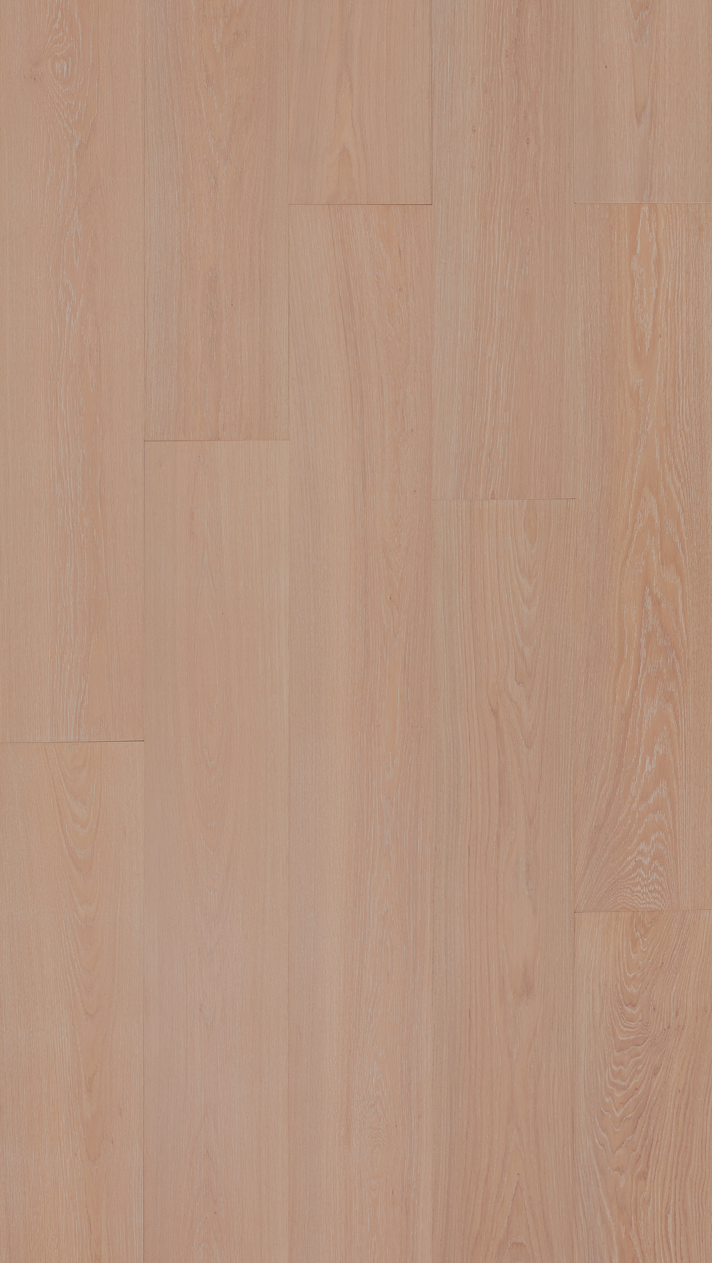 F1-Velato Panna-Plank