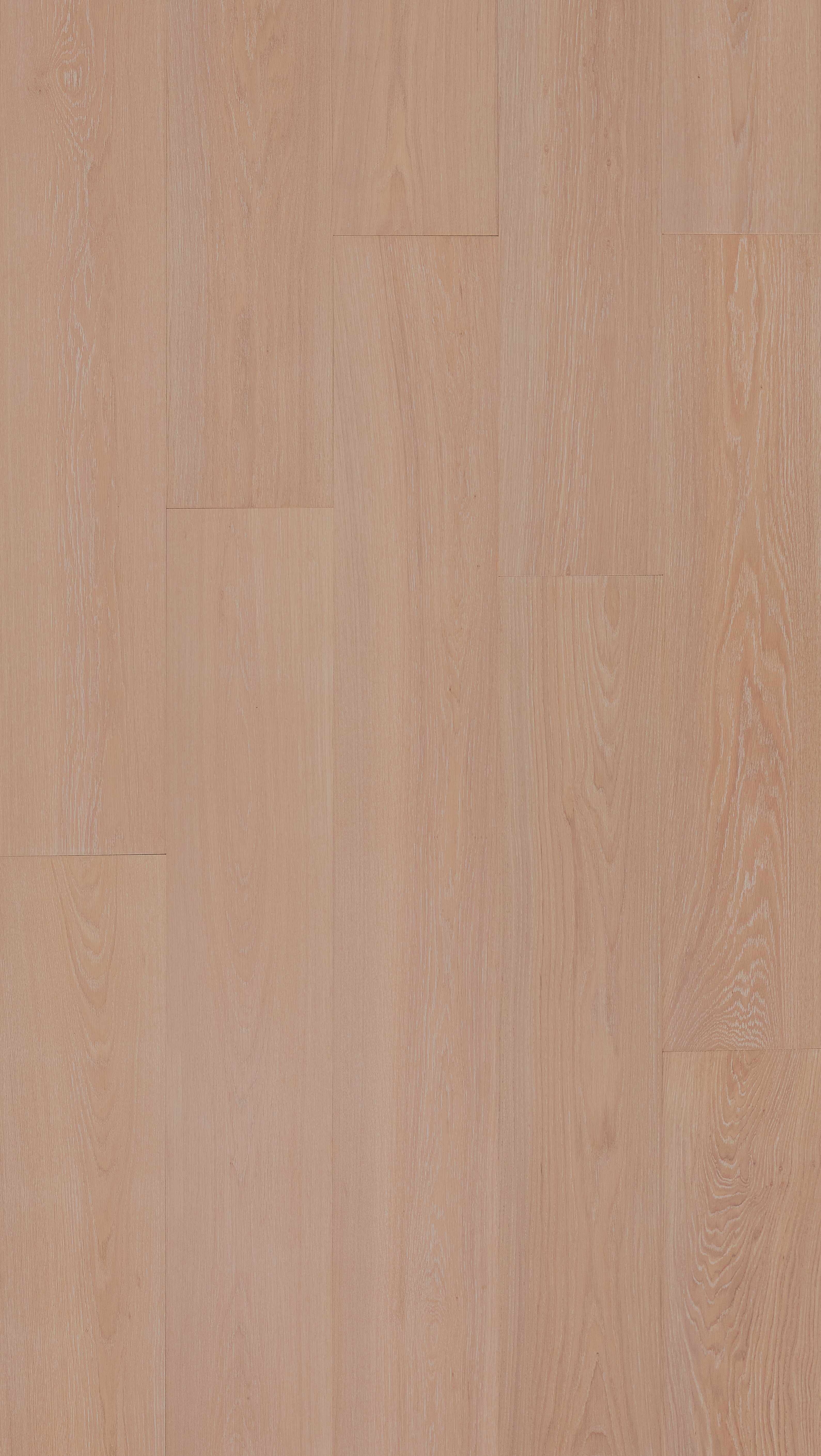 F1-Velato Panna-Plank