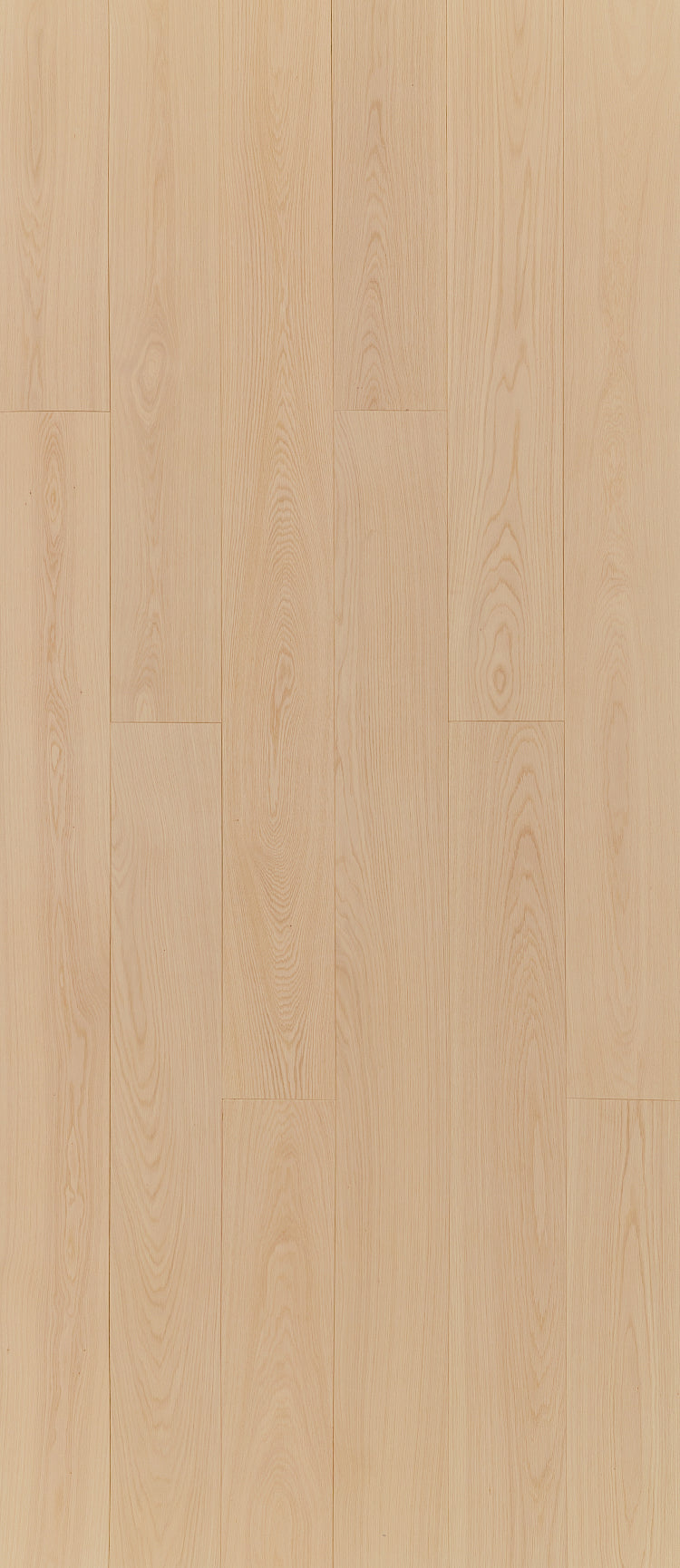 F5-Nubium- Plank