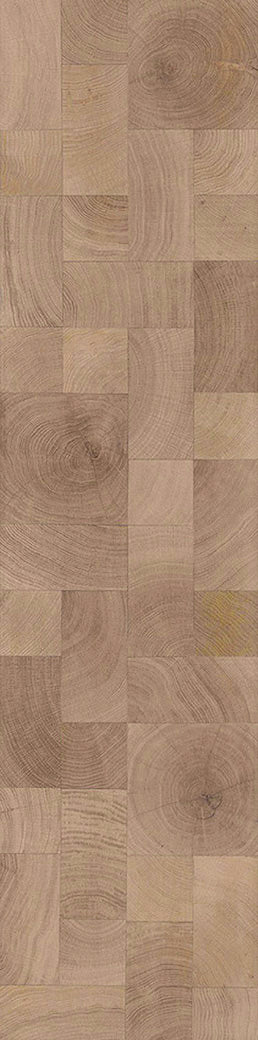 F19-Wood-dyed-Plank, Space series,annual ring