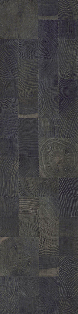 F20-Ink black-Plank, Space series,annual ring