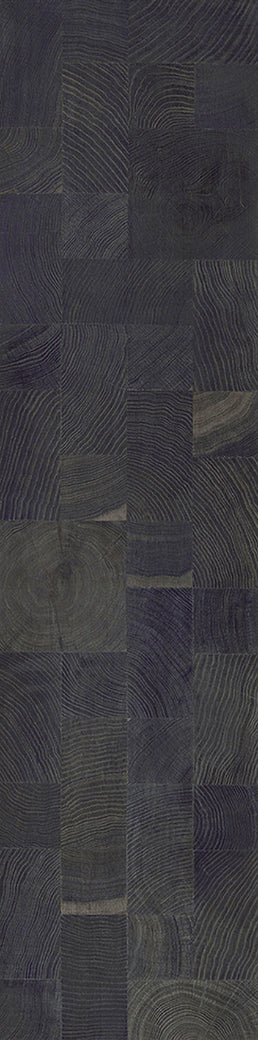 F20-Ink black-Plank, Space series,annual ring