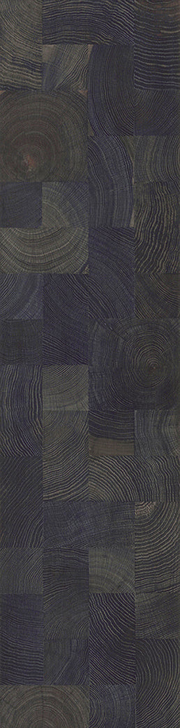 F20-Ink black-Plank, Space series,annual ring