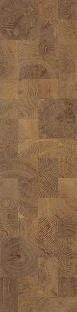 F21-Light smoked-Plank, Space series,annual ring