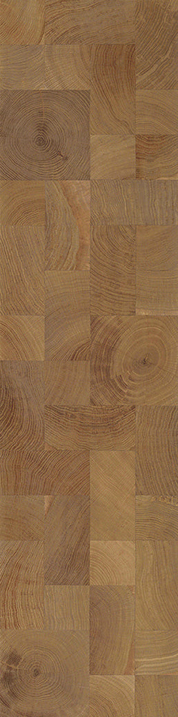 F21-Light smoked-Plank, Space series,annual ring