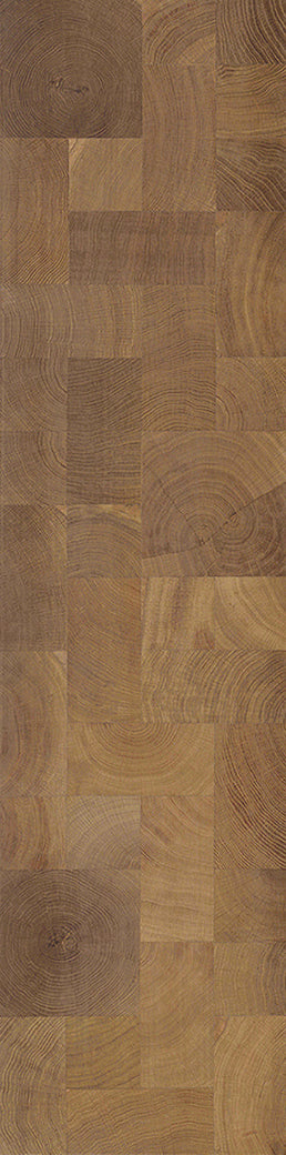 F21-Light smoked-Plank, Space series,annual ring
