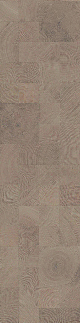 F23-Gray white-Plank, Space series,annual ring