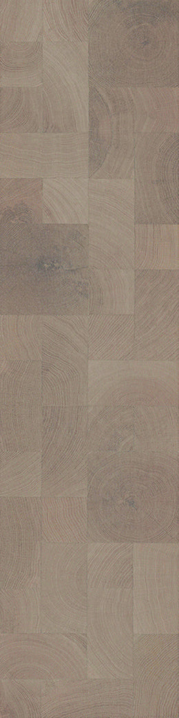 F23-Gray white-Plank, Space series,annual ring