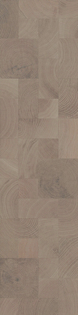 F23-Gray white-Plank, Space series,annual ring
