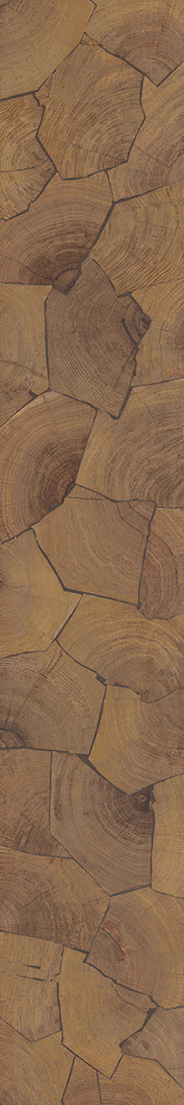 F46-Wood-dyed-Plank,Time series,annual ring