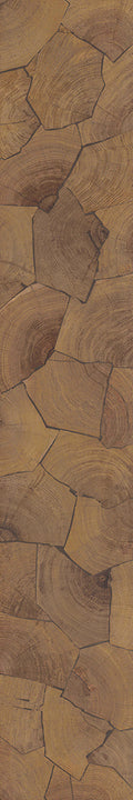 F46-Wood-dyed-Plank,Time series,annual ring