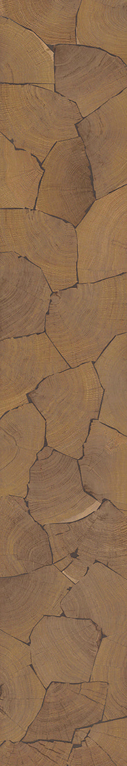 F46-Wood-dyed-Plank,Time series,annual ring