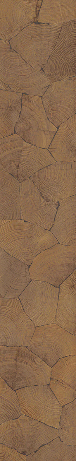 F46-Wood-dyed-Plank,Time series,annual ring