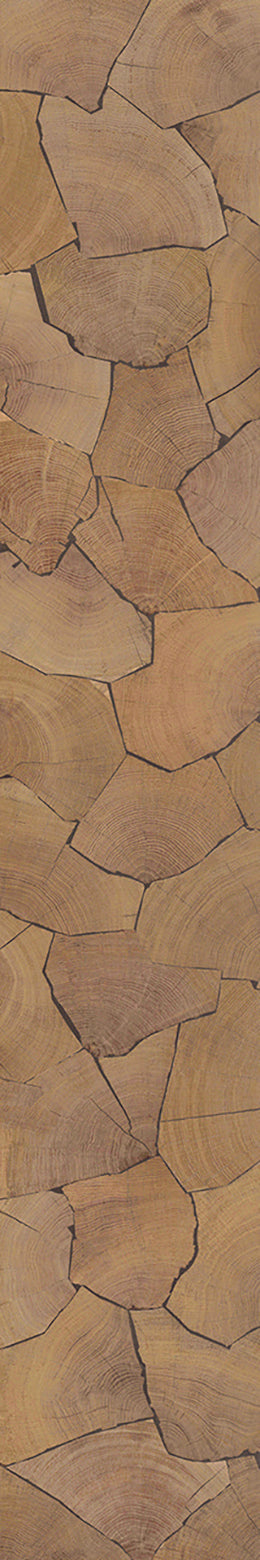 F46-Wood-dyed-Plank,Time series,annual ring