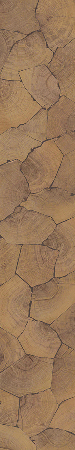 F46-Wood-dyed-Plank,Time series,annual ring
