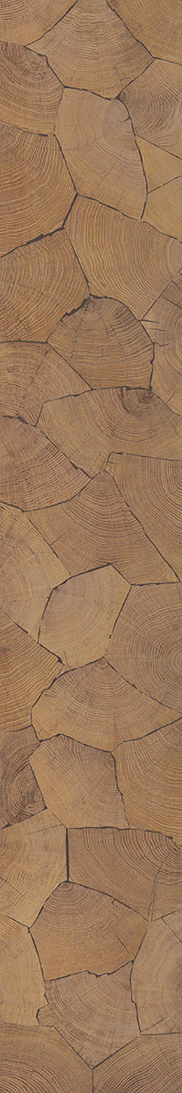 F46-Wood-dyed-Plank,Time series,annual ring