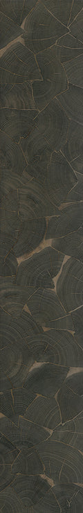 F25-Ink black-Plank,Time series,annual ring