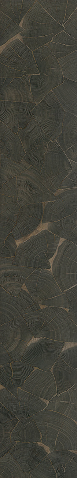 F25-Ink black-Plank,Time series,annual ring