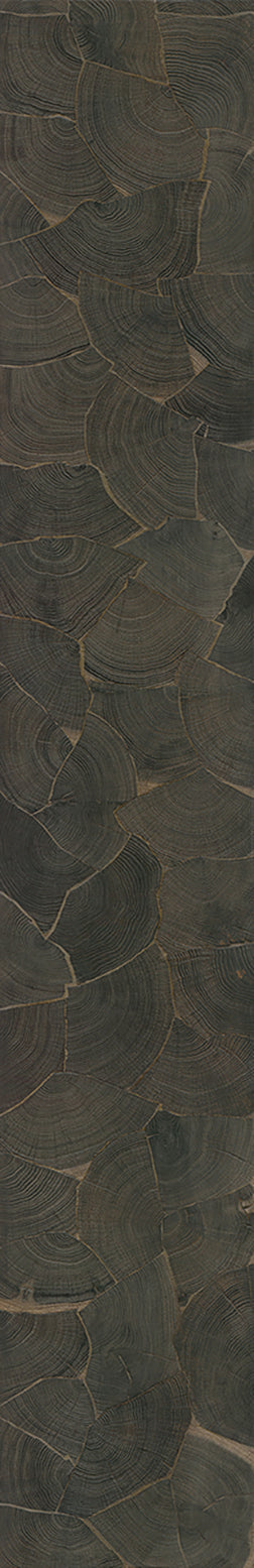 F25-Ink black-Plank,Time series,annual ring