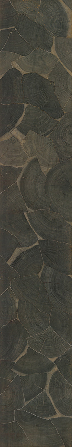 F25-Ink black-Plank,Time series,annual ring
