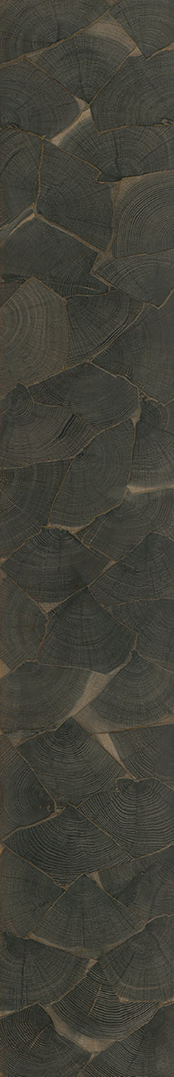 F25-Ink black-Plank,Time series,annual ring