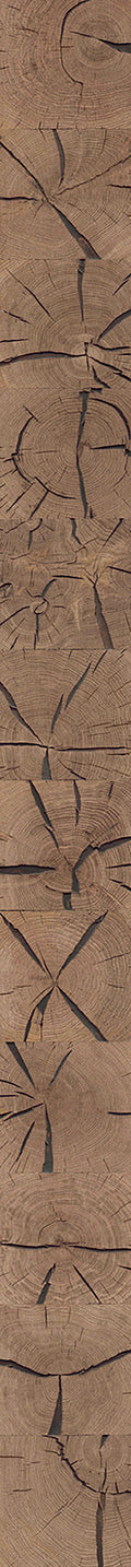F26-Cracked wood-dyed-Plank,Original series,annual ring