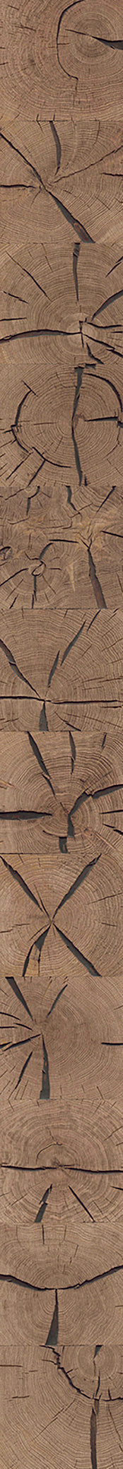 F26-Cracked wood-dyed-Plank,Original series,annual ring