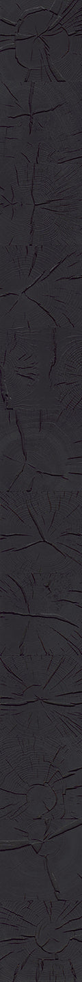 F27-Cracked ink black-Plank,Original series,annual ring
