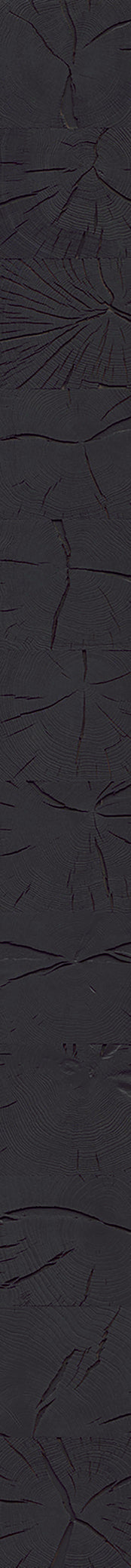 F27-Cracked ink black-Plank,Original series,annual ring