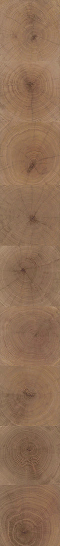 F28-Wood-dyed-Plank,Original series,annual ring