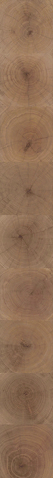 F28-Wood-dyed-Plank,Original series,annual ring