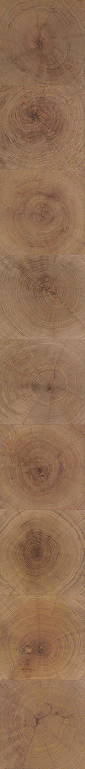 F28-Wood-dyed-Plank,Original series,annual ring