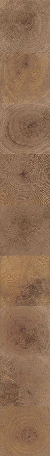 F28-Wood-dyed-Plank,Original series,annual ring