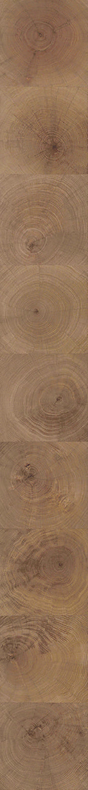 F28-Wood-dyed-Plank,Original series,annual ring
