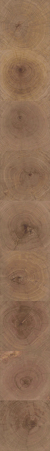 F28-Wood-dyed-Plank,Original series,annual ring