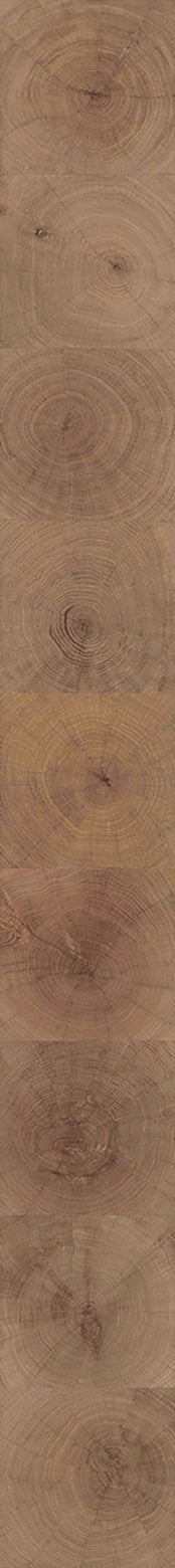 F28-Wood-dyed-Plank,Original series,annual ring