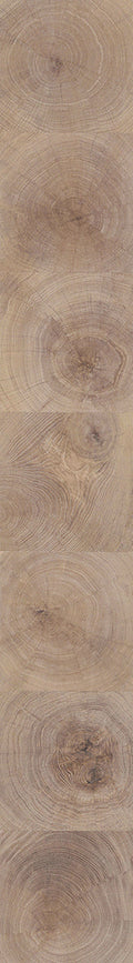 F29-Washed white-Plank,Original series,annual ring