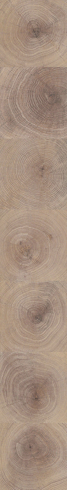 F29-Washed white-Plank,Original series,annual ring