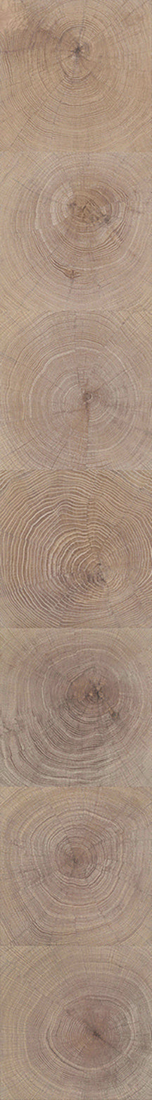 F29-Washed white-Plank,Original series,annual ring
