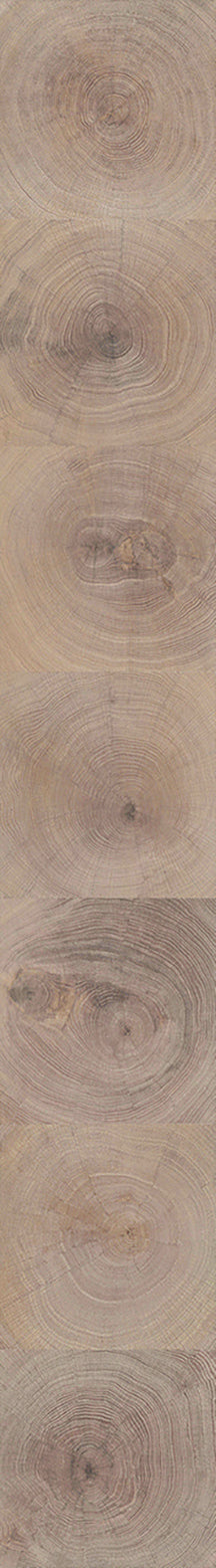 F29-Washed white-Plank,Original series,annual ring