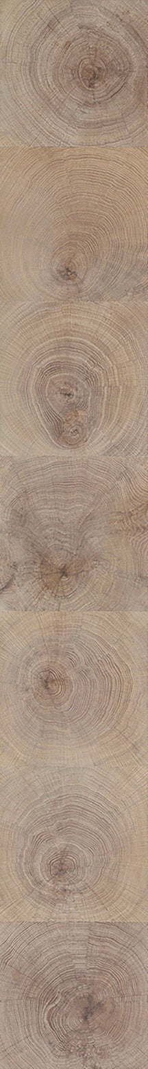 F29-Washed white-Plank,Original series,annual ring