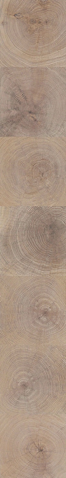 F29-Washed white-Plank,Original series,annual ring