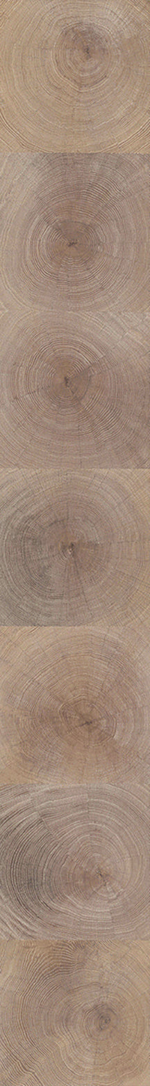 F29-Washed white-Plank,Original series,annual ring