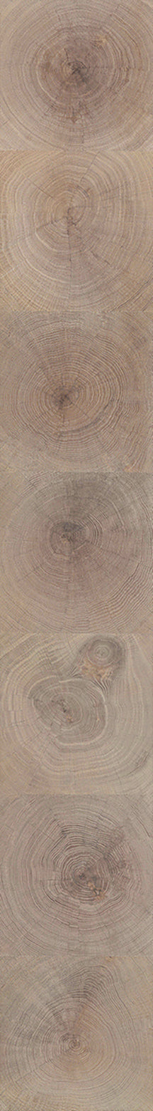 F29-Washed white-Plank,Original series,annual ring