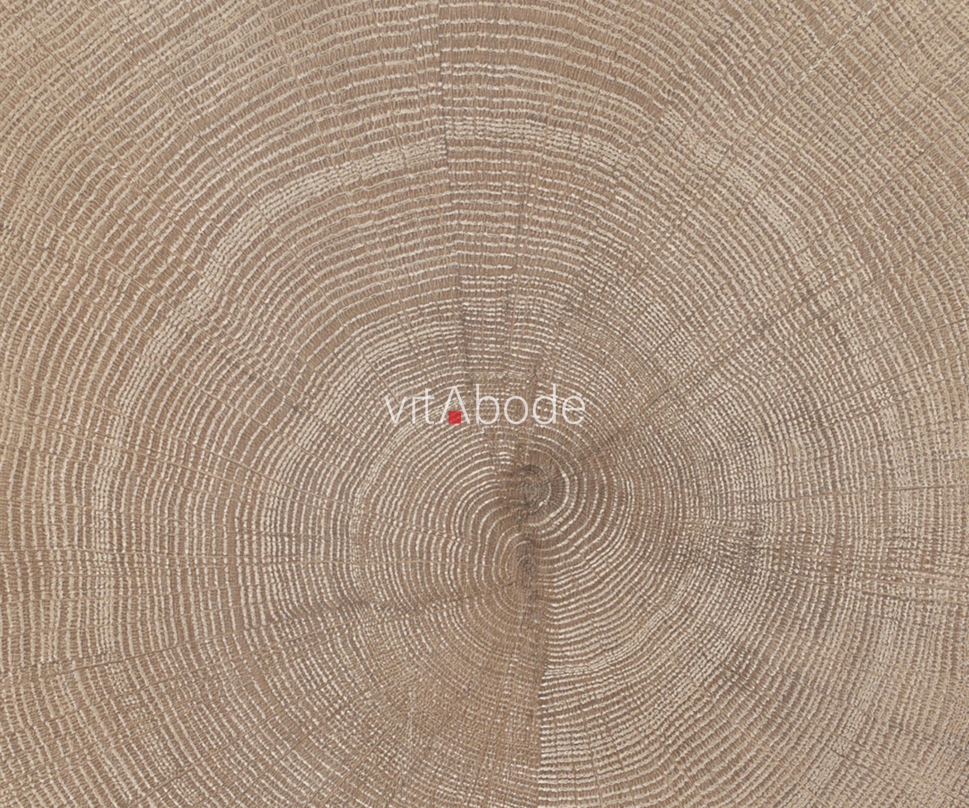 F29-Washed white-Plank,Original series,annual ring,wood flooring